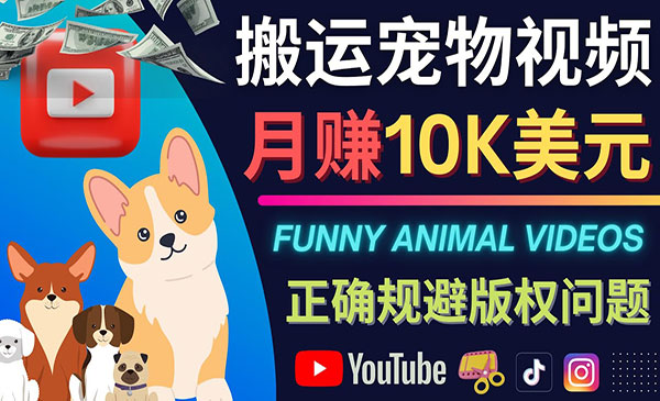 搬运宠物视频,月赚10K美元