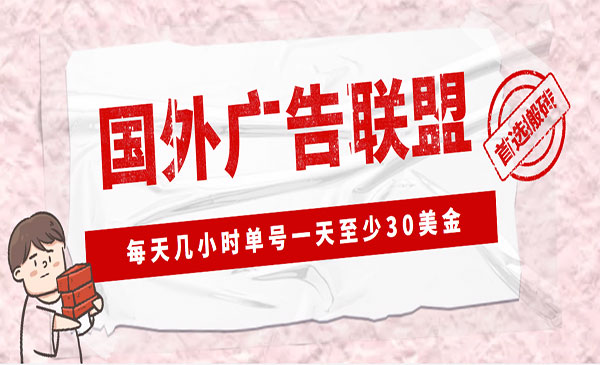 LEAD广告联盟搬砖项目,单号30美金一天