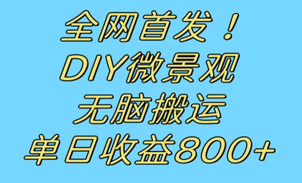 DIY微景观无脑搬运,日入800+