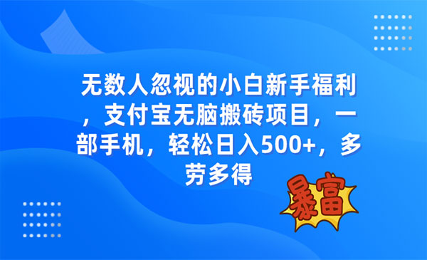 支付宝无脑搬砖项目，日入500+-柚子网创