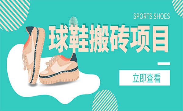 球鞋搬砖项目,外面收998