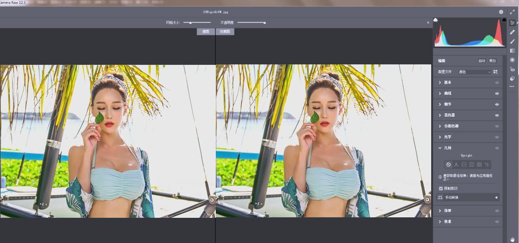 Adobe Camera Raw(RAW处理工具)v18.0.0中文版-柚子网创