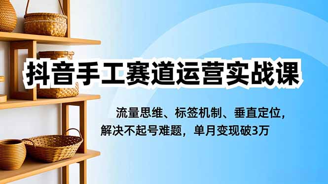 抖音手工赛道运营实战课，流量思维、标签机制、垂直定位，解决不起号难题，单月变现破3万-柚子网创