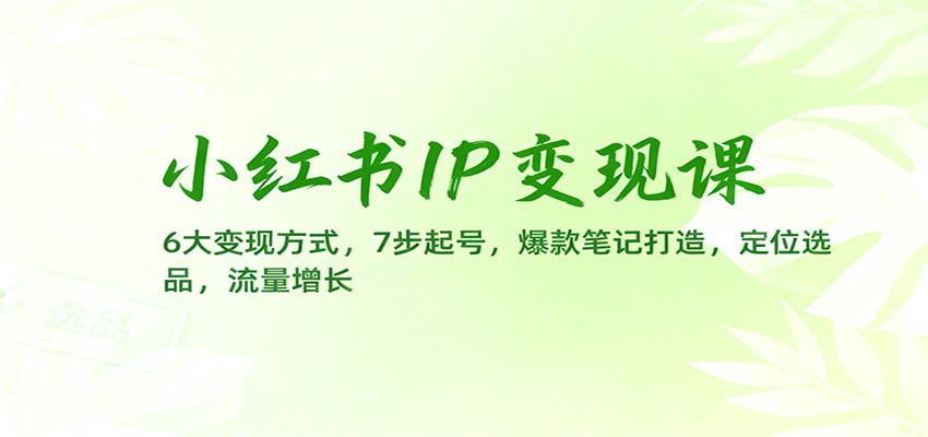 小红书IP变现课：6大变现方式，7步起号，爆款笔记打造，定位选品，流量增长-柚子网创