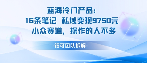 蓝海项目：16条笔记私域变现9750米小众赛道操作的人不多-柚子网创