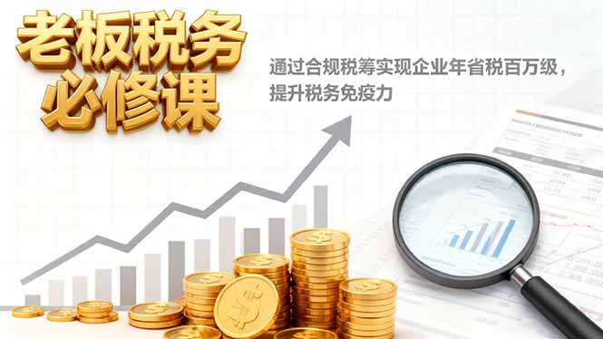 老板税务必修课，通过合规税筹实现企业年省税百万级，提升税务免疫力-柚子网创